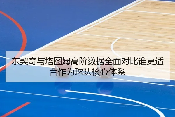 东契奇与塔图姆高阶数据全面对比谁更适合作为球队核心体系